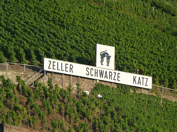Weinberg, auf welchem ein Schild mit der Aufschrift "Zeller Schwarze Katz" aufgestellt ist.