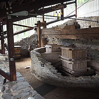 Teilrekonstuktion der Kelteranlage