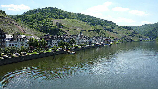 Blick auf die Mosel mit angrenzenden Weinbergen der Lage "Schwarze Katz".