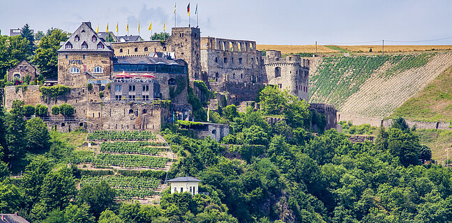 Ruine der Burg Rheinfels, unterhalb der Ruine sind Weinberge zu sehen
