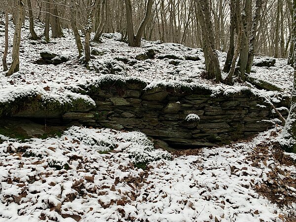 Schneebedeckte Mauerreste der ehemaligen Weinlage am Eichenauer Berg beim Ort Dörnberg im Jahr 2018, im Hintergrund Bäume.