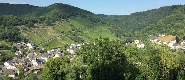 Blick auf den Ort Obernhof im Jahr 2018, im Hintergrund die Weinbergslagen auf dem Goetheberg.
