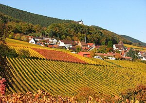 Ein sonnenbeschienener Weinberg mit dem Winzerhof am Teufelsberg im Hintergrund.