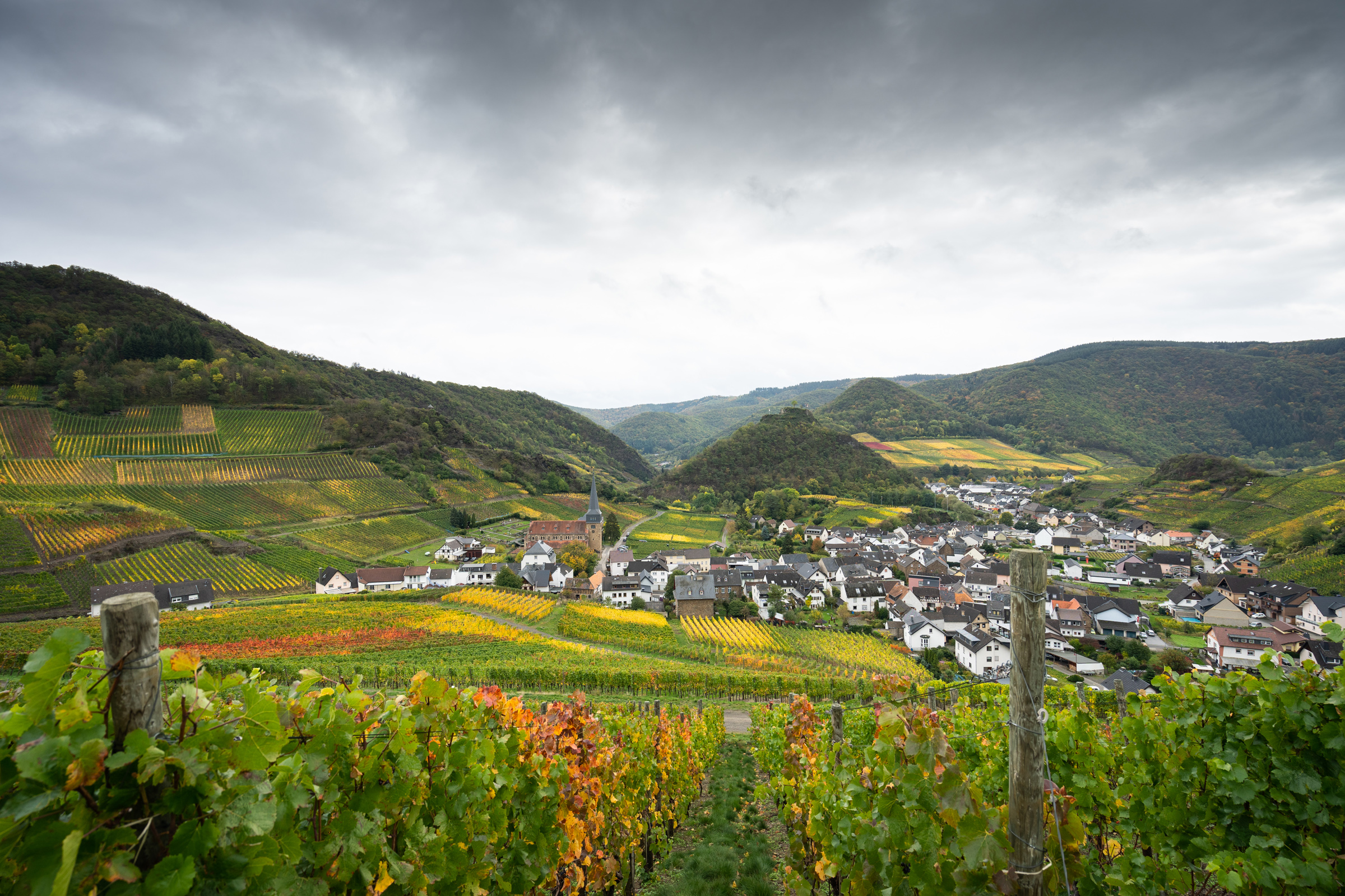 Der Rotweinwanderweg im Ahrtal.