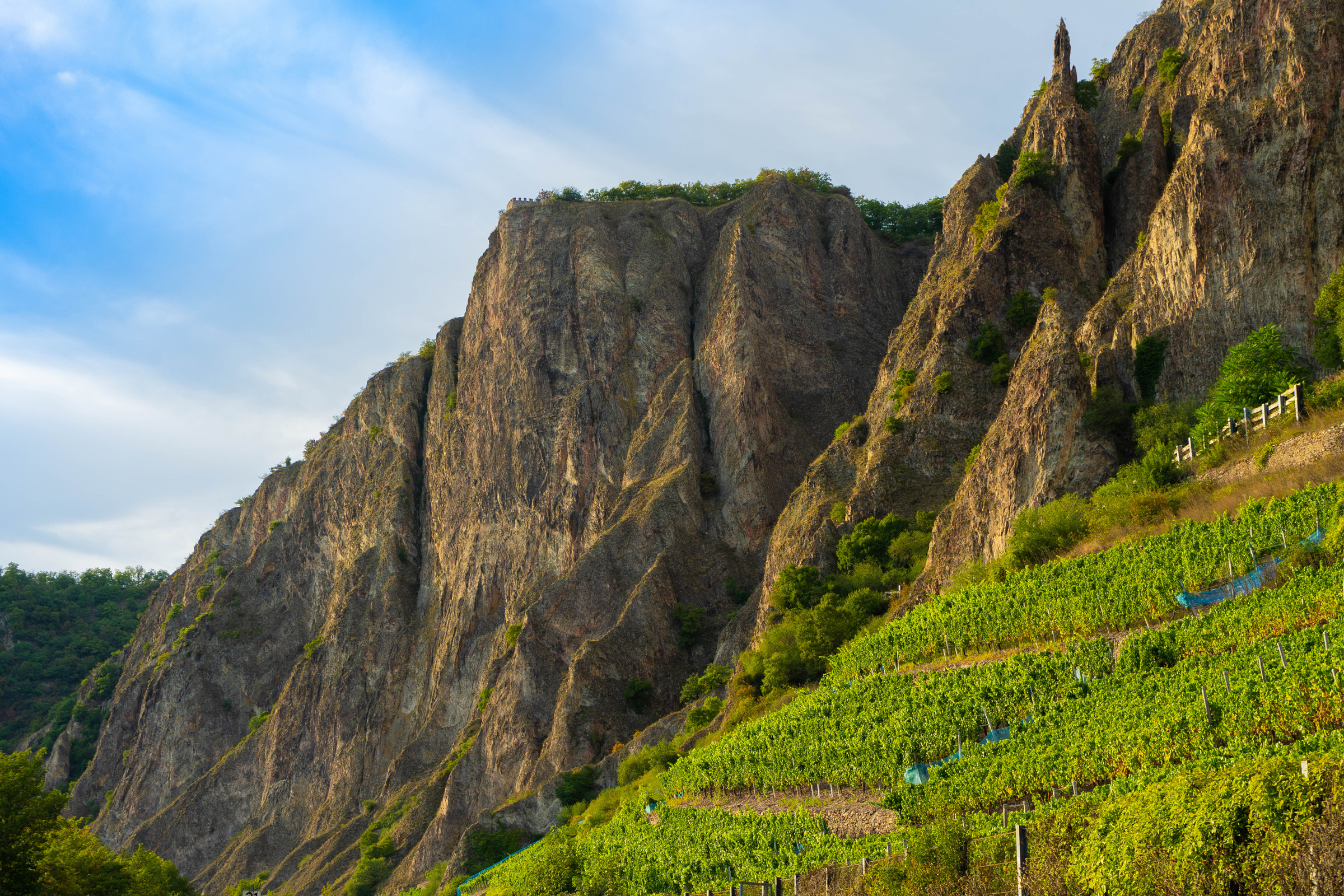 Weinberge auf dem Felsmassiv Rotenfels Bad Münster am Stein-Ebernburg bei Bad Kreuznach.