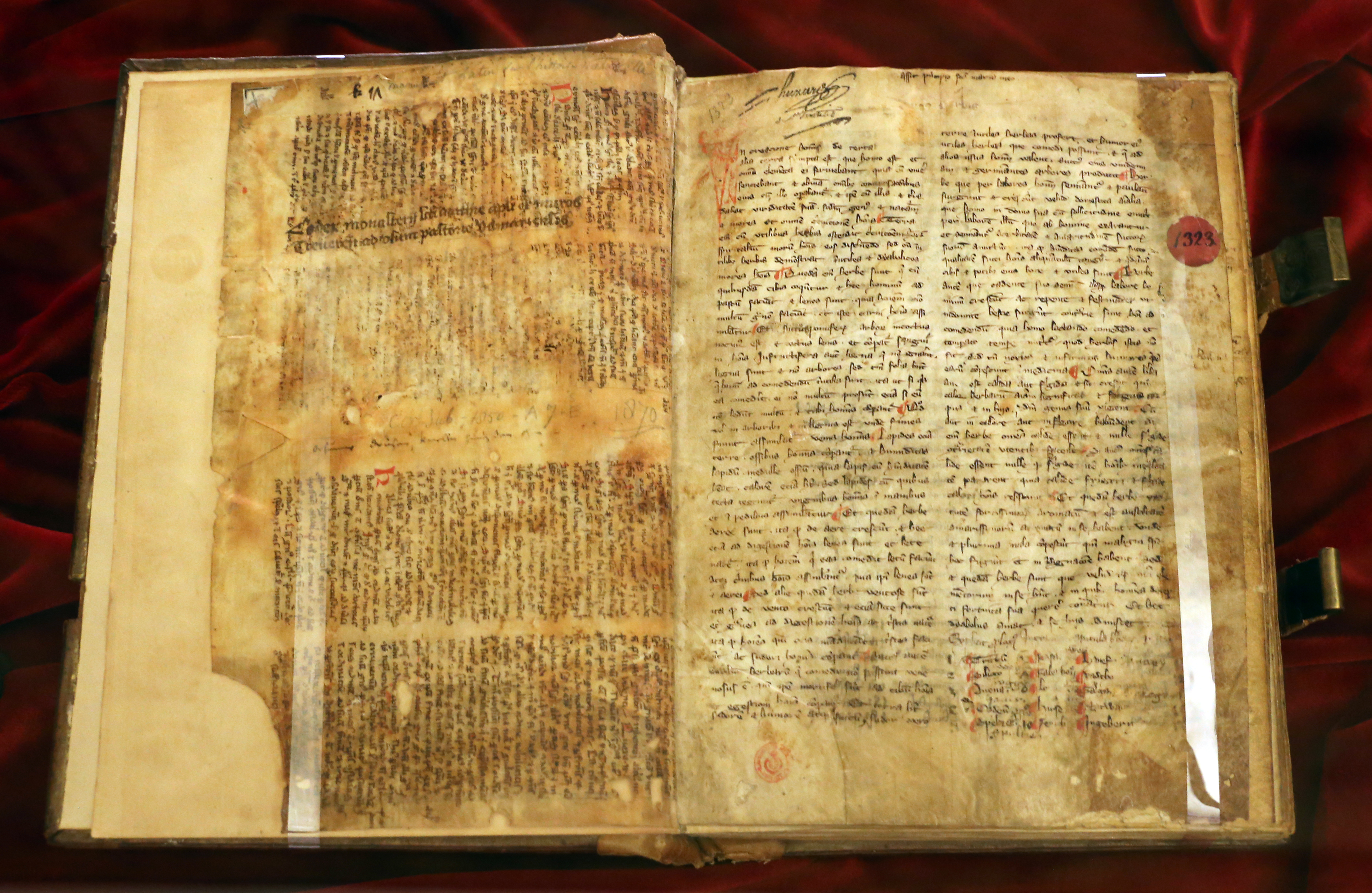 Handschrift "Ildegarda di Bingen" aus der Biblioteca Laurenziana zu Florenz, um 1310.