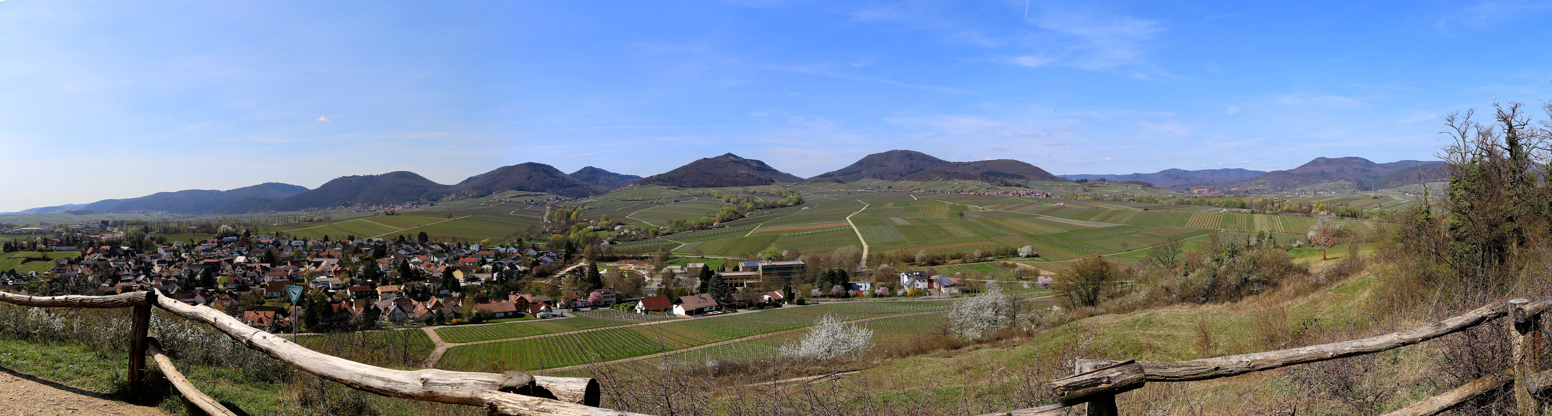 Blick von der "kleinen Kalmit" auf den Pfälzerwald.