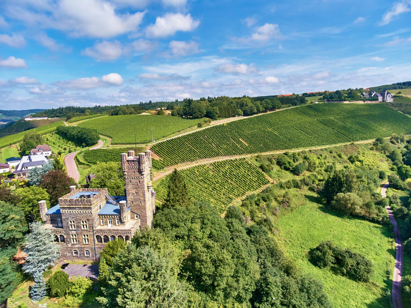 Über den Weinbergen thront Schloss Saarfels.